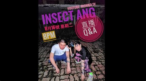 昆蟲insectangtv|蟬團長 InsectAngTV